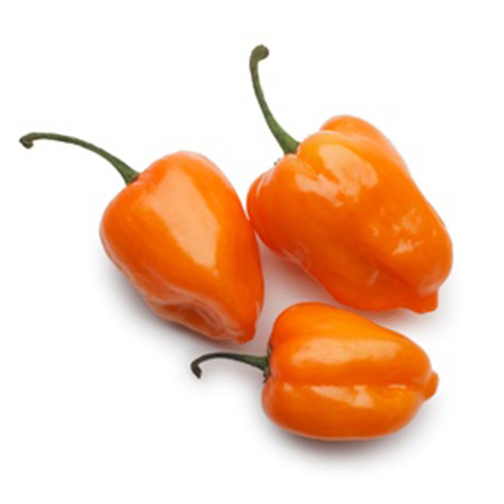 Habanero